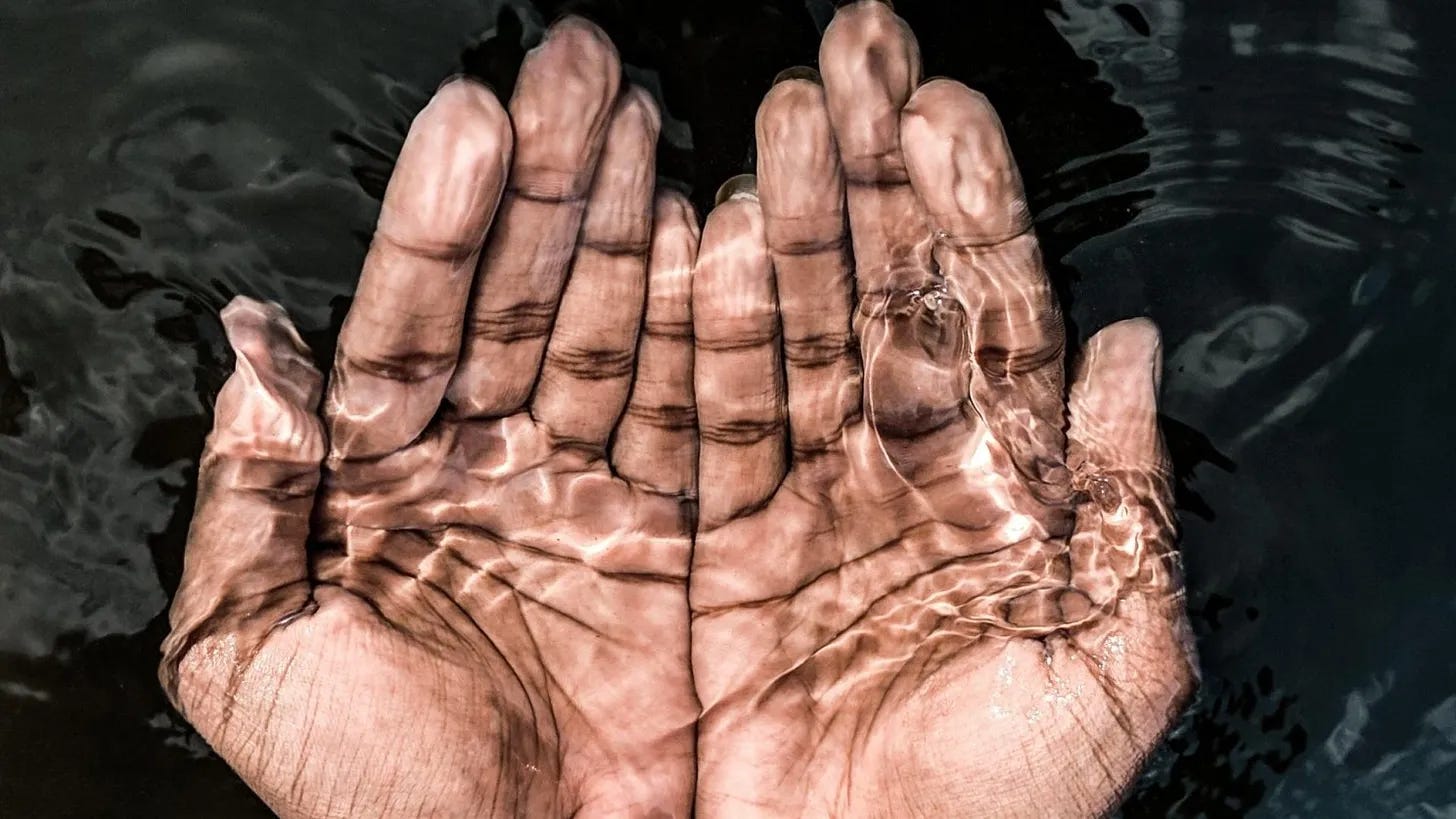 Hands holding water representing reflection and reflexivity.